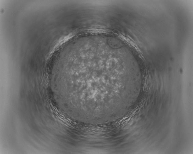 X0000087021207200704301306