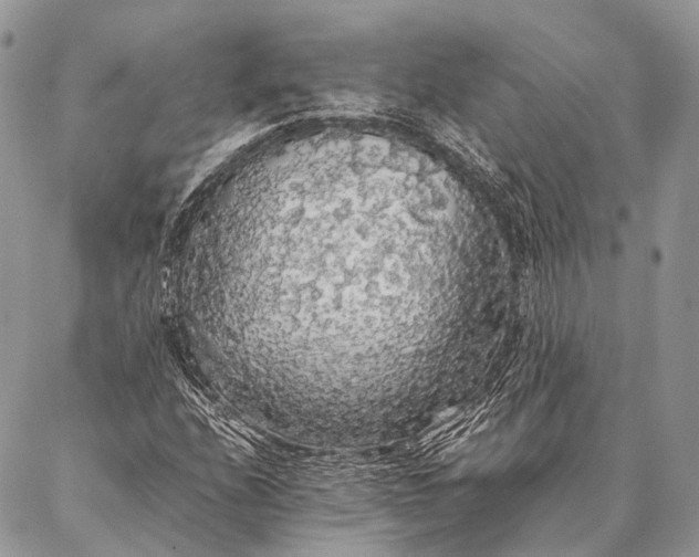 X0000087021208200704301306