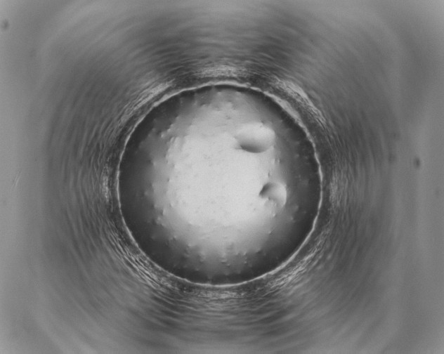 X0000087021209200704301306