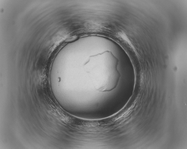 X0000087021210200704301306