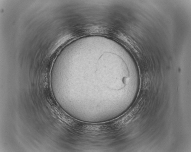 X0000087021211200704301306