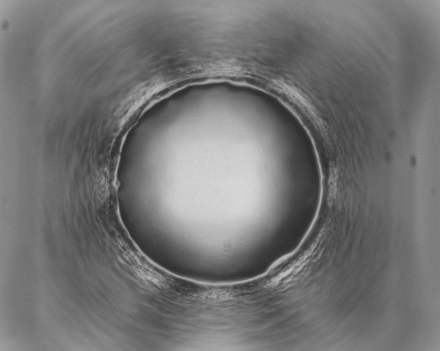 X0000087021212200704301306