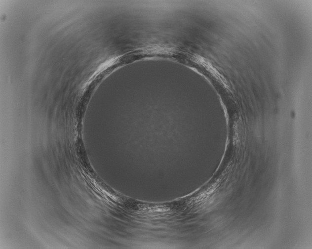 X0000087021213200704301306