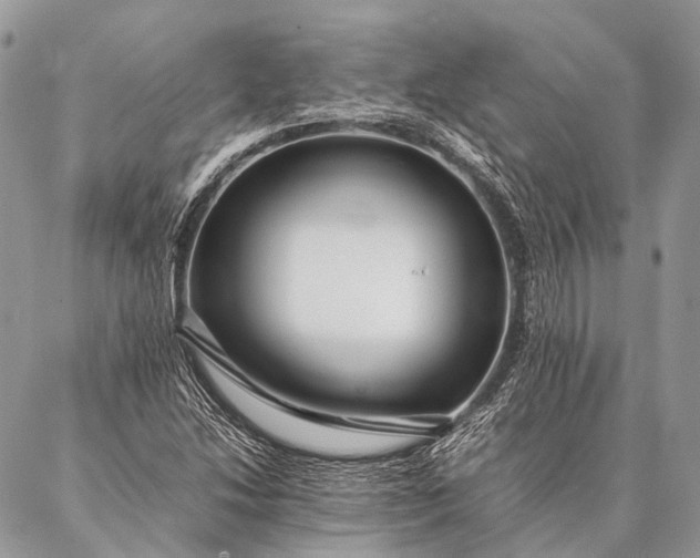 X0000087021214200704301306