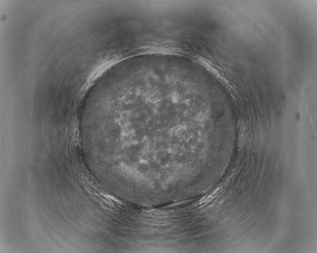 X0000087021215200704301306