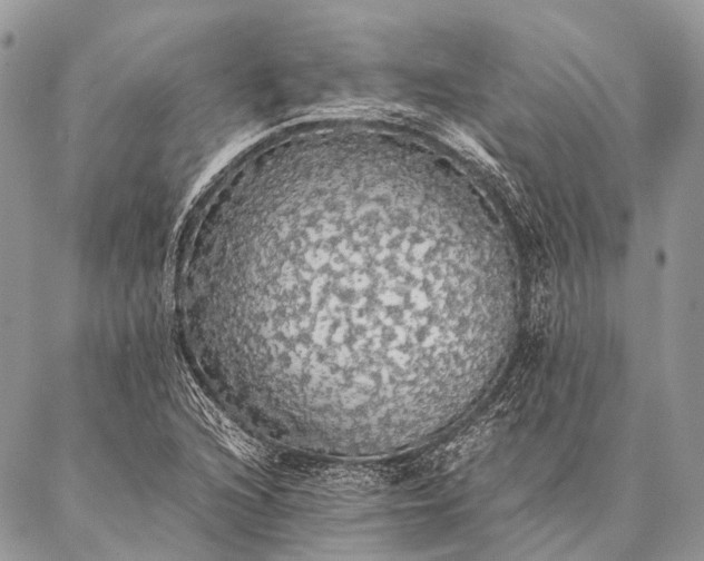 X0000087021216200704301306