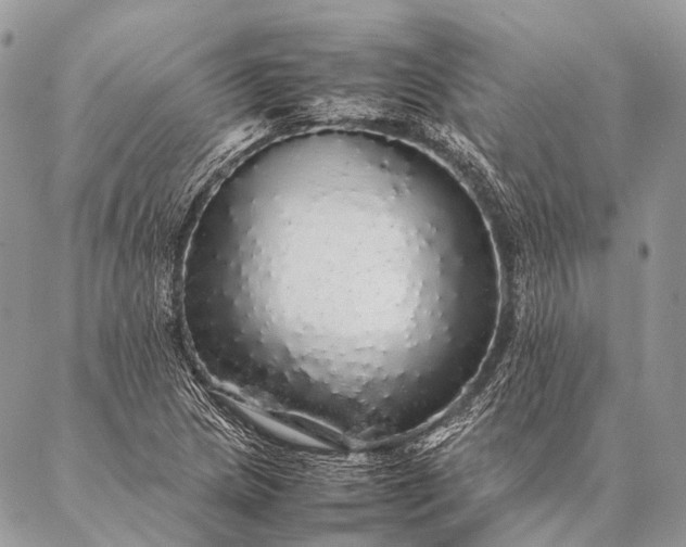 X0000087021217200704301306