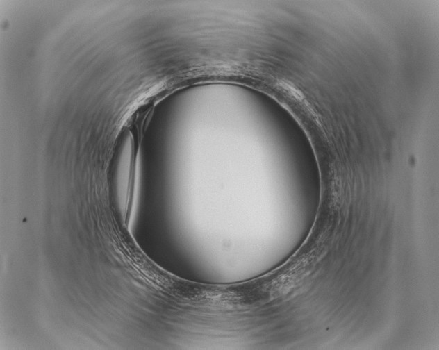 X0000087021218200704301306