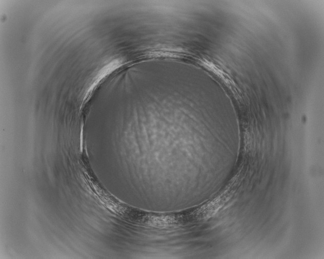 X0000087021219200704301306