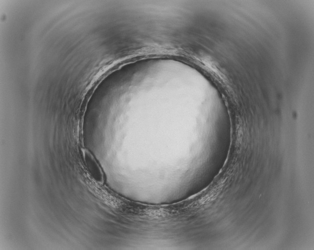 X0000087021220200704301306