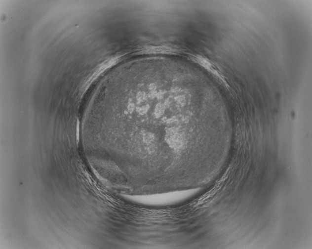 X0000087021221200704301306