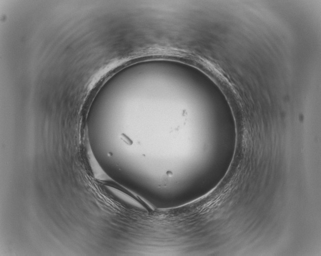 X0000087021222200704301306