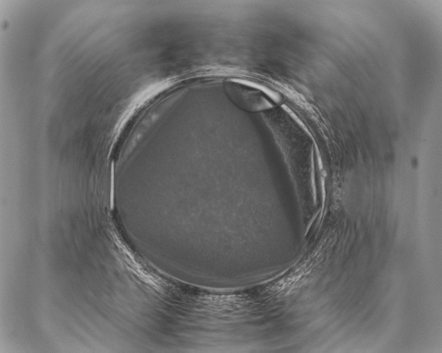 X0000087021223200704301306