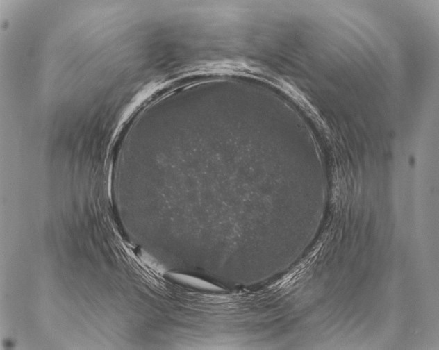 X0000087021224200704301306