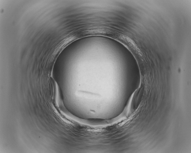 X0000087021225200704301306