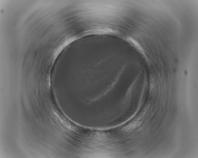 X0000087021226200704301306