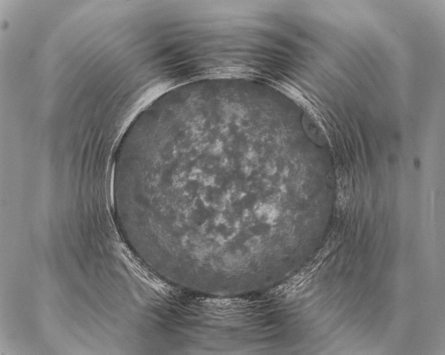 X0000087021227200704301306