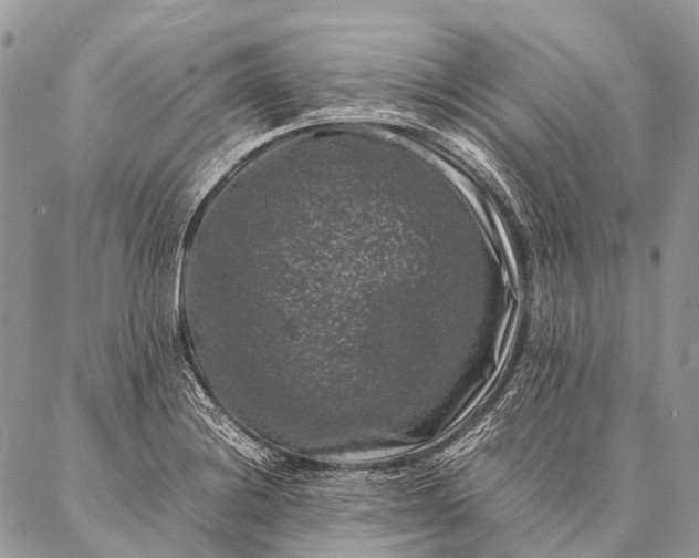 X0000087021228200704301306