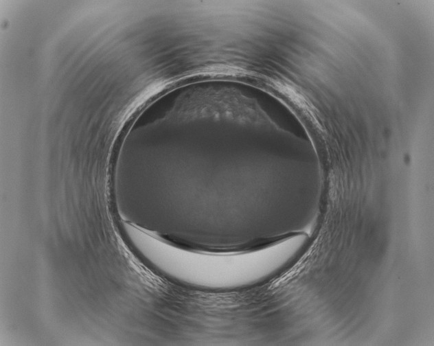 X0000087021229200704301306