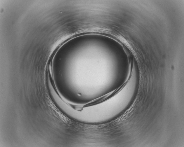 X0000087021230200704301306