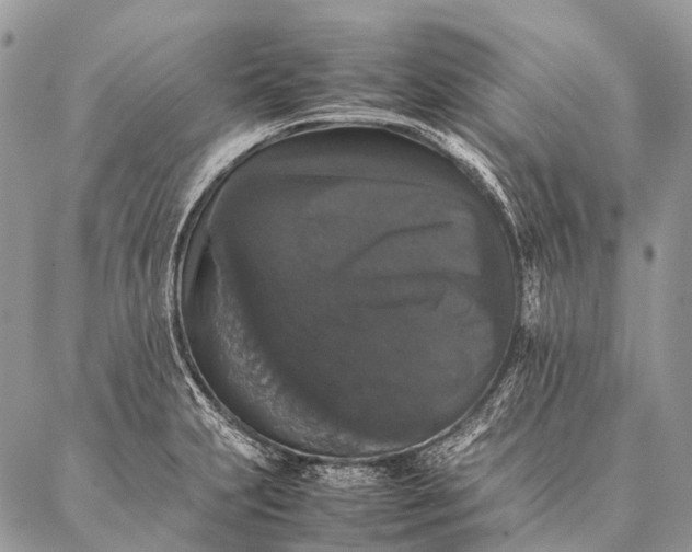 X0000087021231200704301306