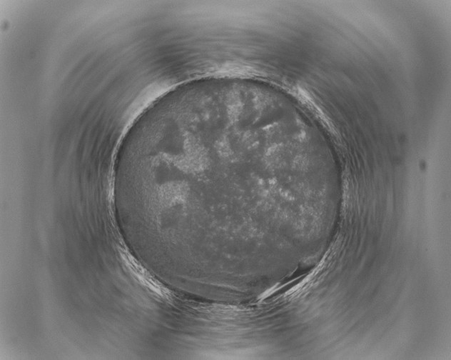 X0000087021232200704301306