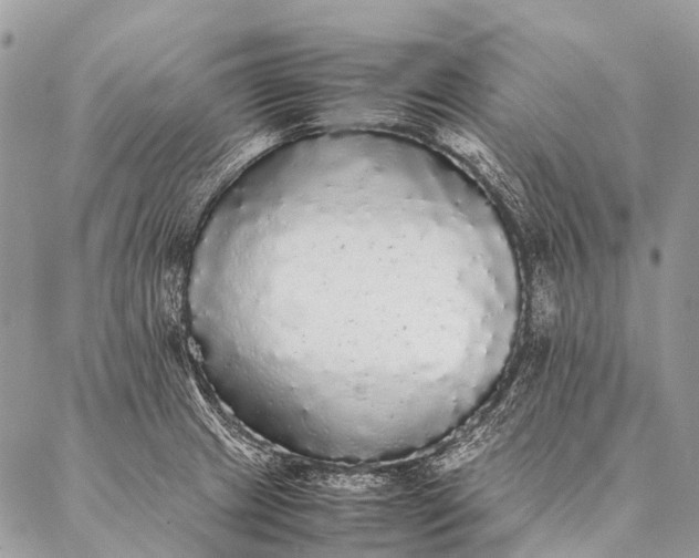 X0000087021233200704301306