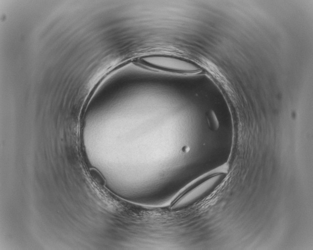 X0000087021234200704301306