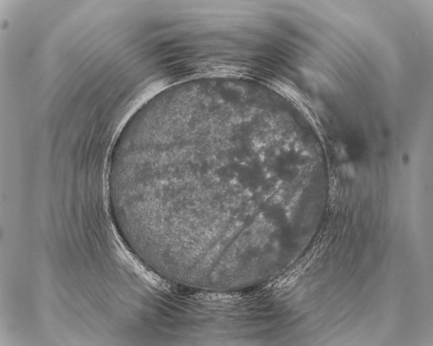 X0000087021235200704301306