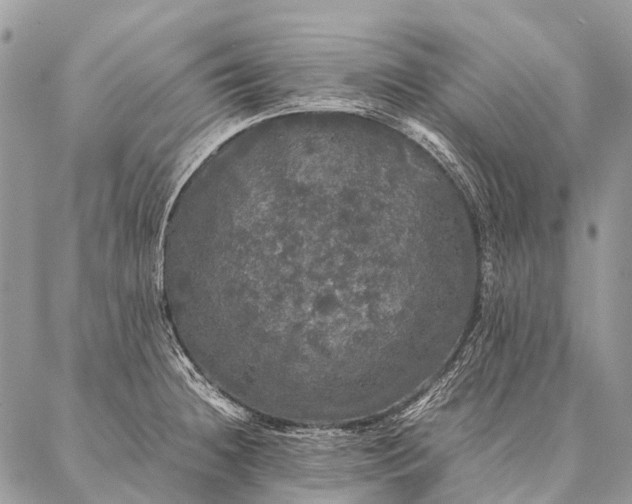 X0000087021236200704301306