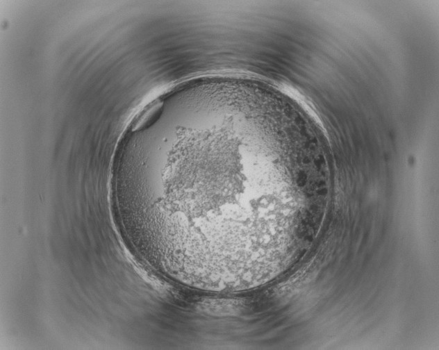 X0000087021237200704301306