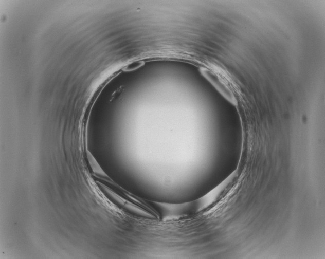 X0000087021238200704301306