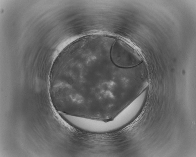 X0000087021239200704301306