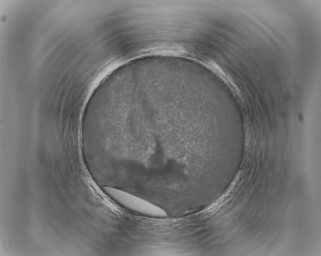 X0000087021240200704301306