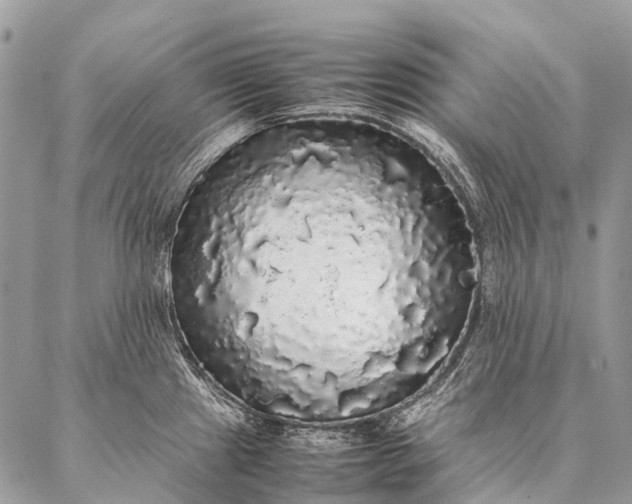 X0000087021241200704301306