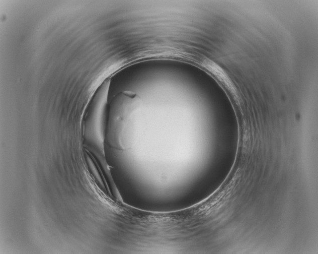 X0000087021242200704301306