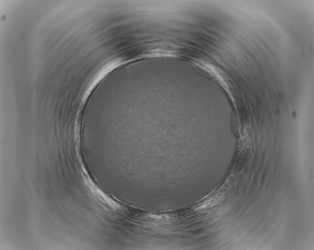 X0000087021243200704301306