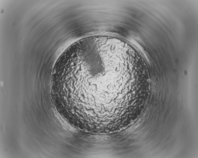 X0000087021244200704301306