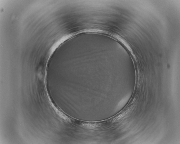 X0000087021245200704301306