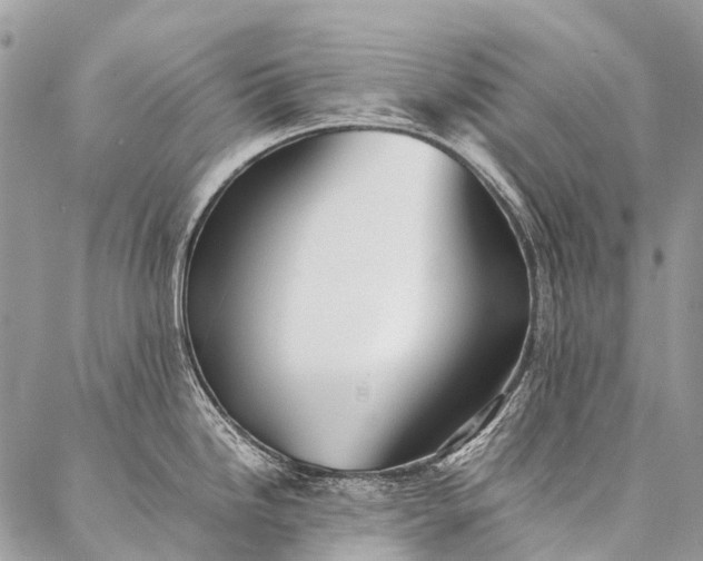 X0000087021246200704301306