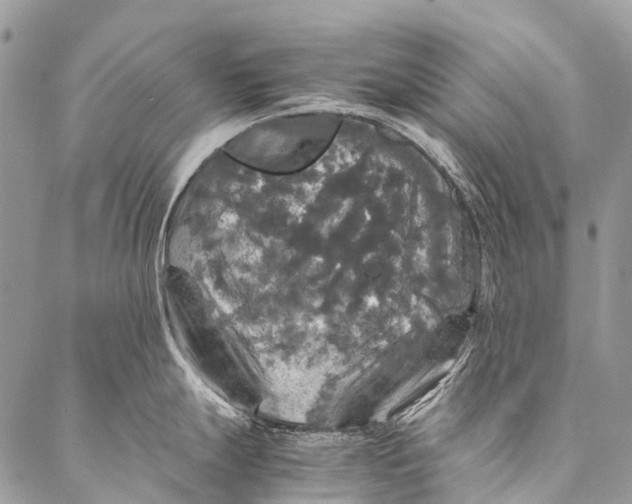 X0000087021247200704301306