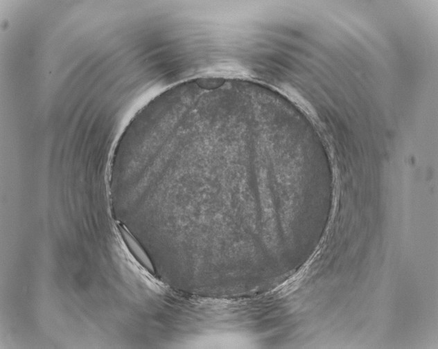 X0000087021248200704301306