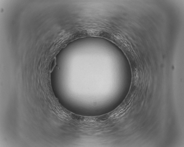 X0000087021249200704301305