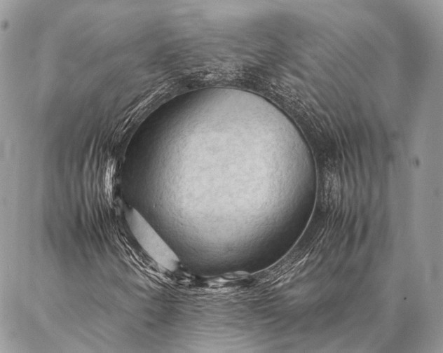 X0000087021250200704301305