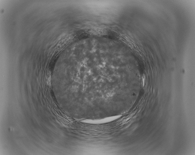 X0000087021251200704301305