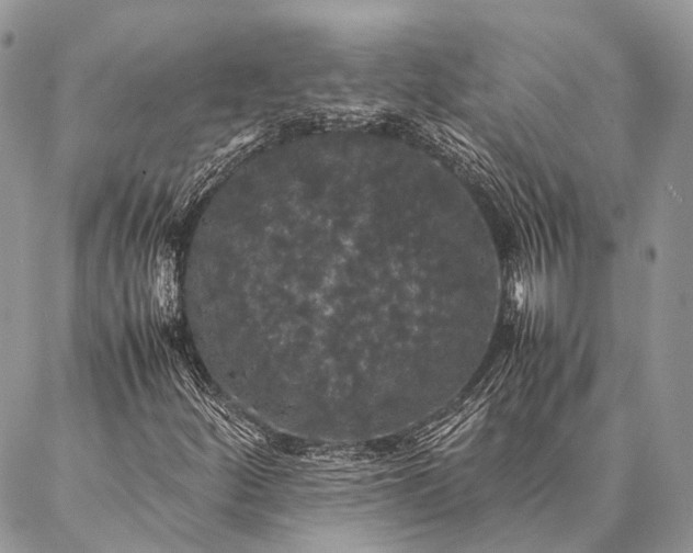 X0000087021252200704301305