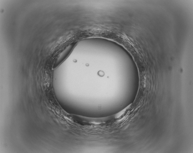 X0000087021253200704301305