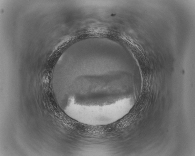 X0000087021254200704301305