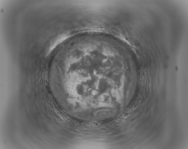 X0000087021255200704301305