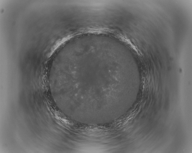 X0000087021256200704301305